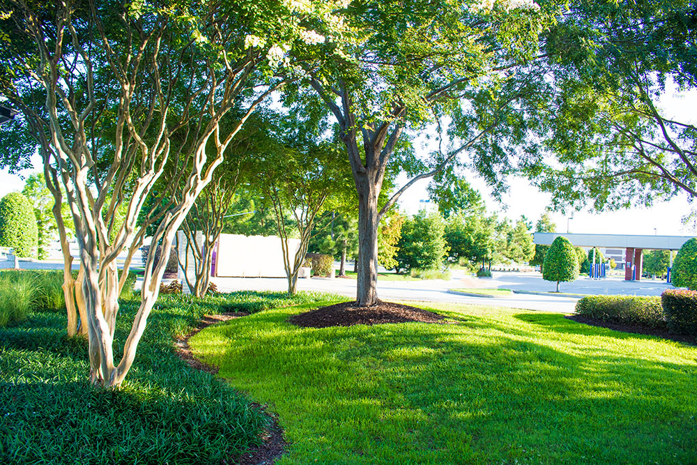 Landry's Landscape Portfolio